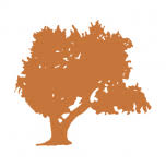 Finca Cortesin Hotel Golf & Spa
