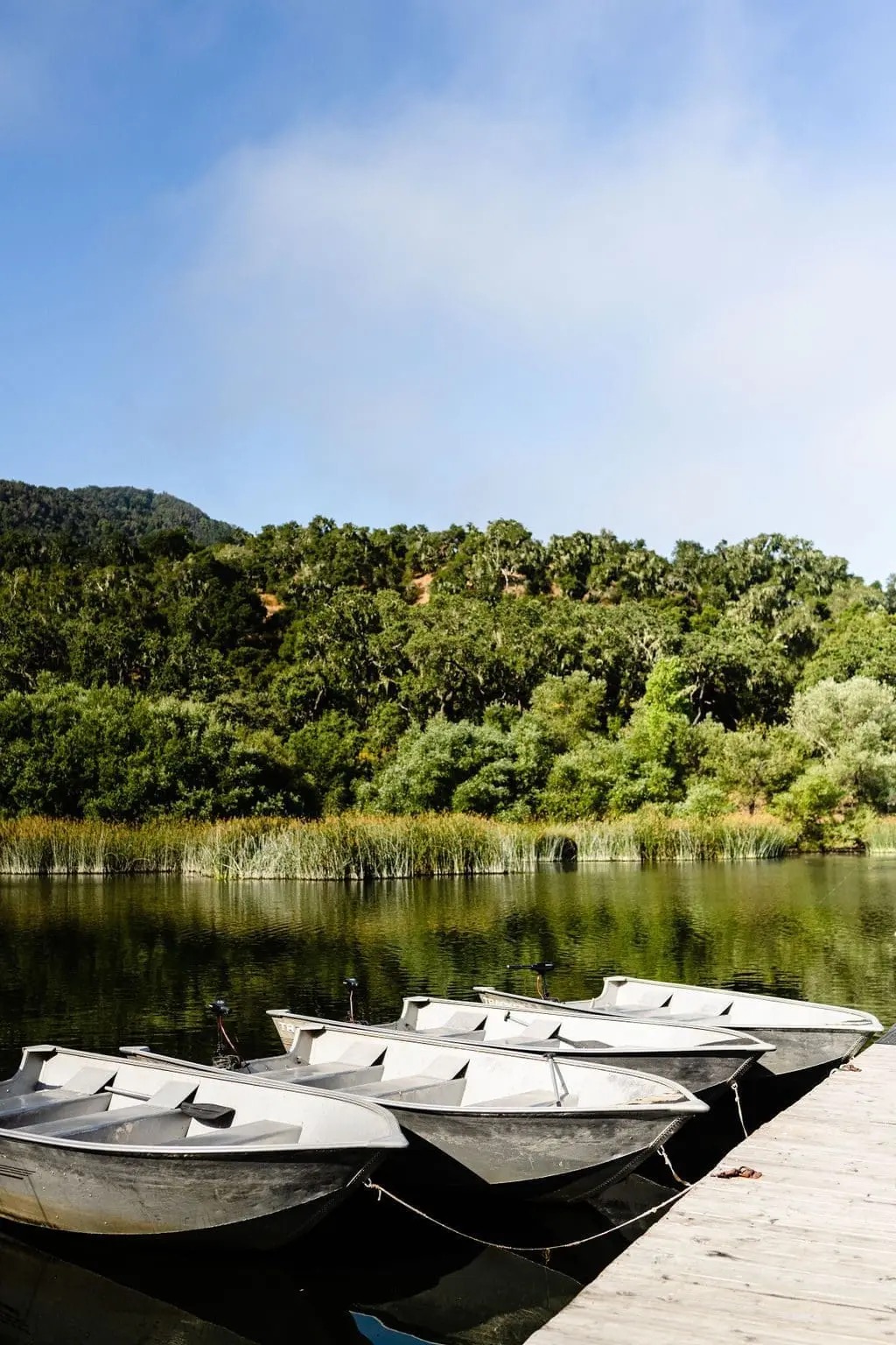 Alisal Ranch