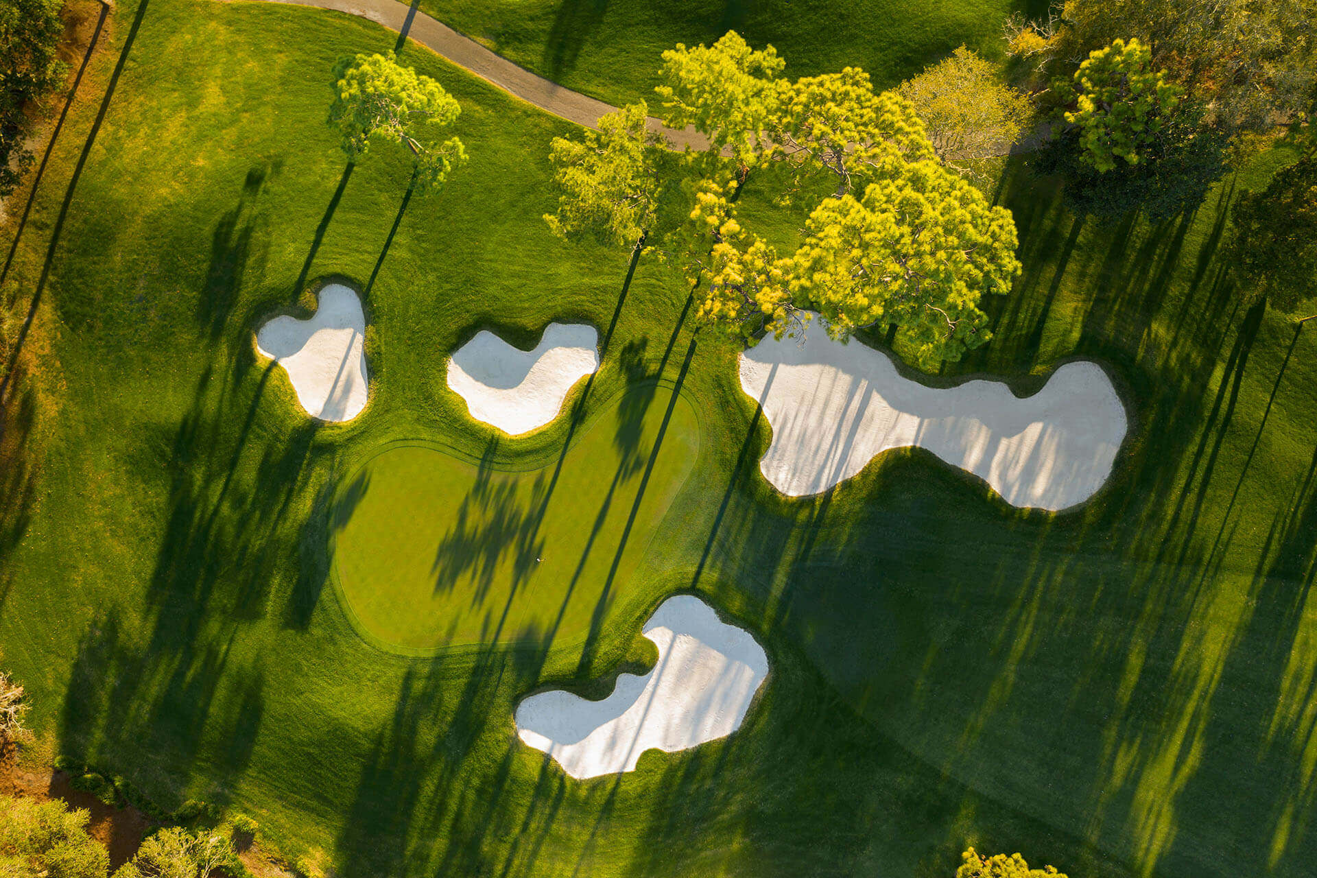 Innisbrook Resort