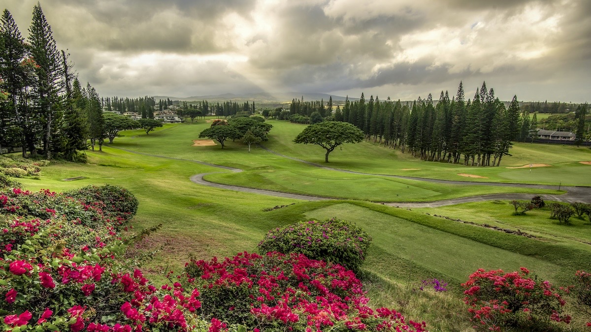 The Resort at Kapalua Bay