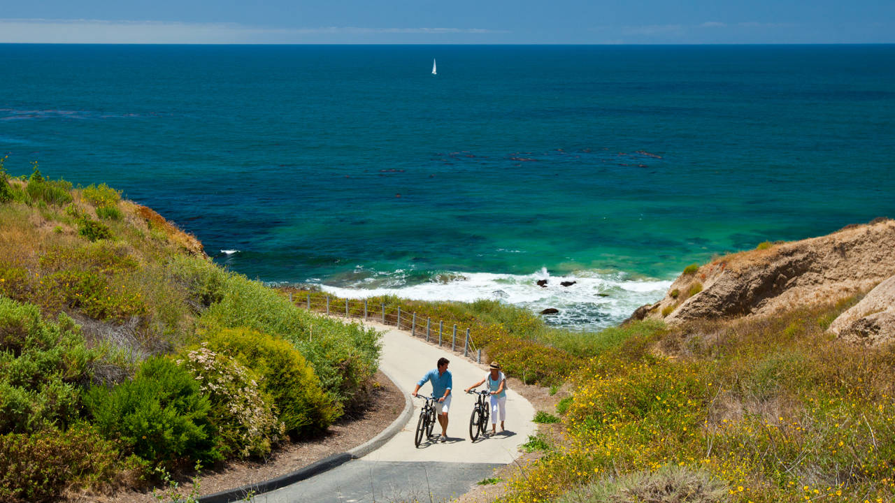 Crystal Cove Beach Access